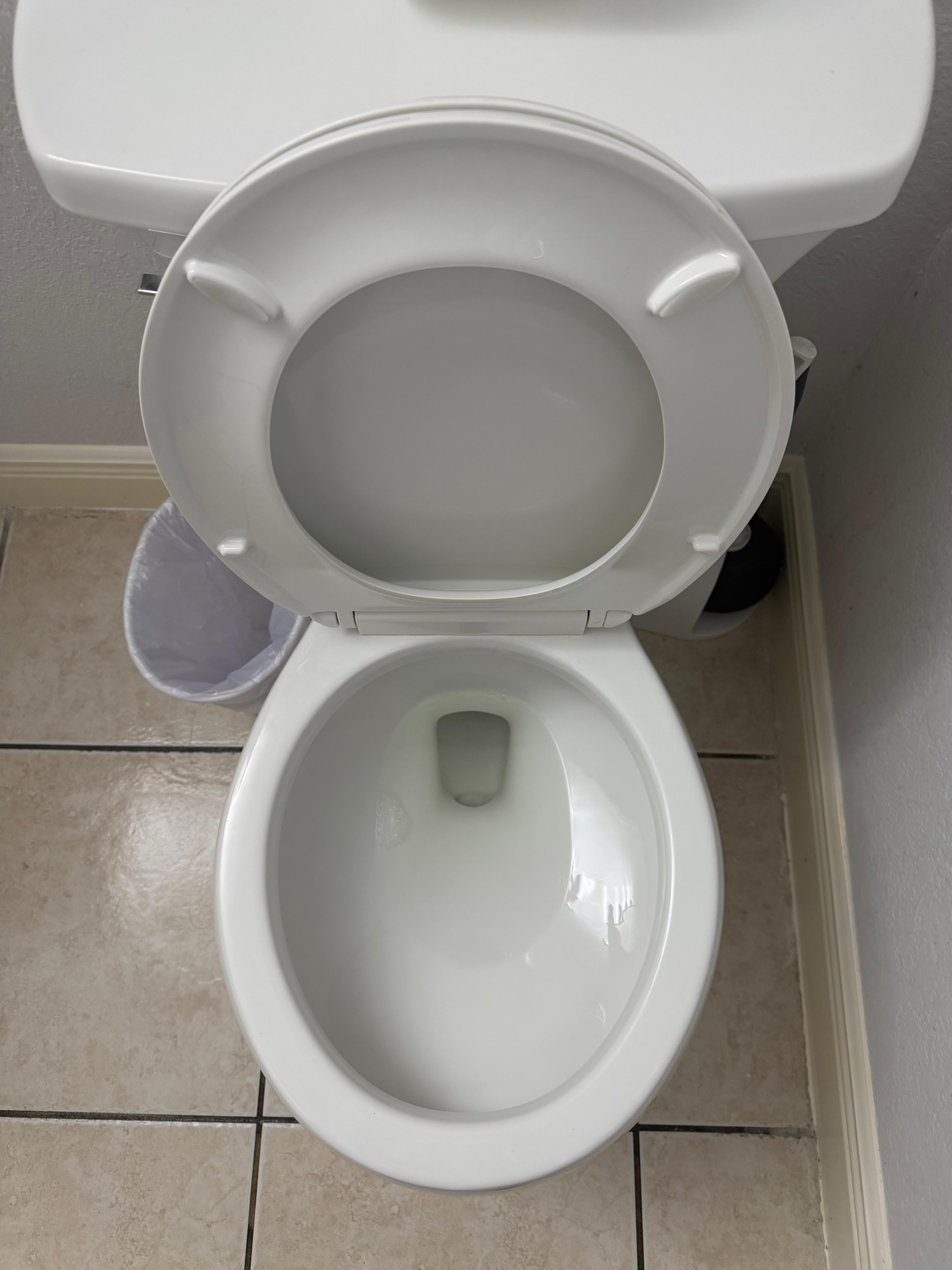 Same Tampa toilet bowl bright white after professional cleaning