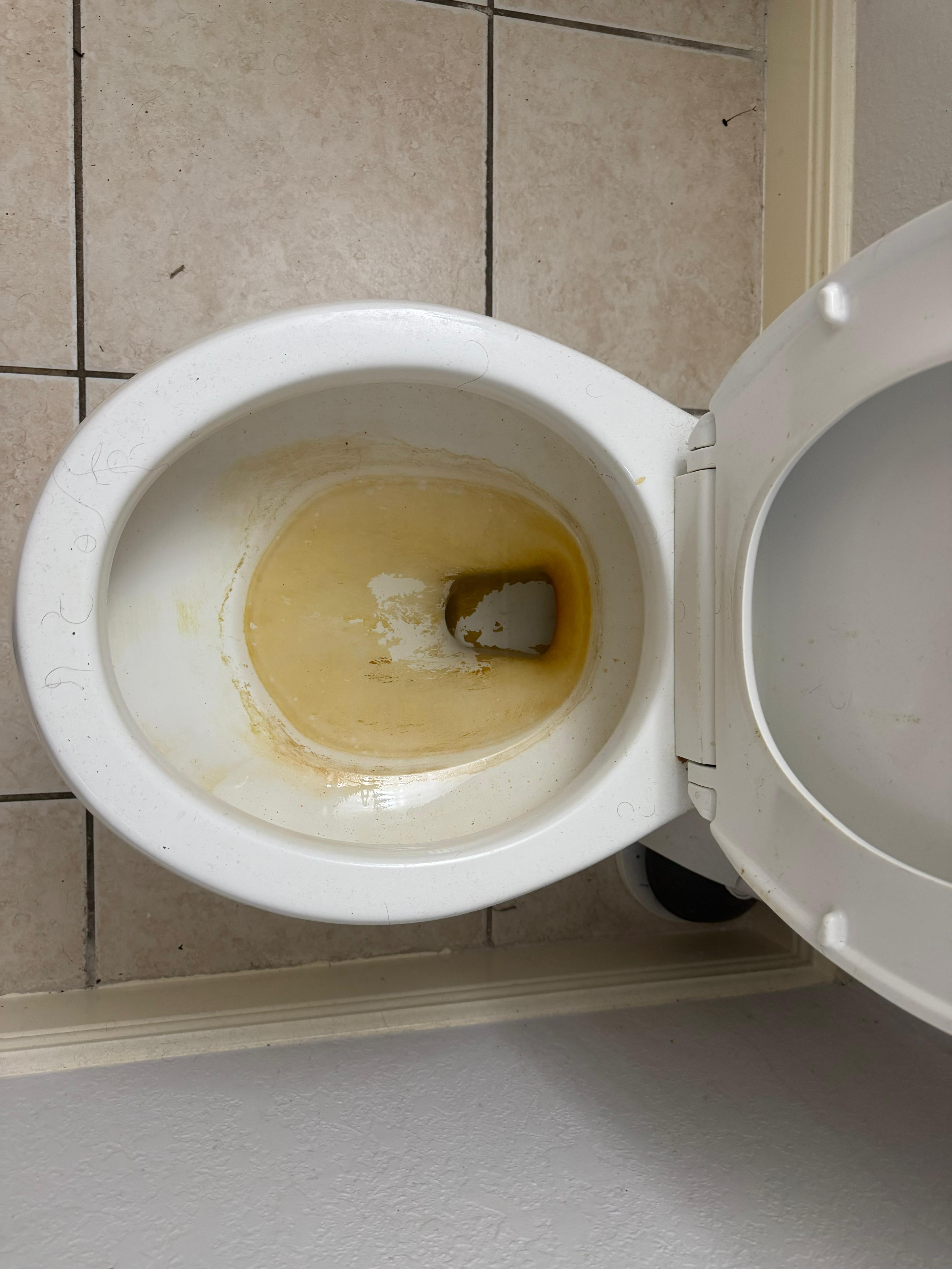 Tampa toilet bowl with heavy yellow staining before cleaning